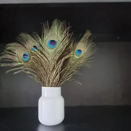 Lejlighed Charming, Cosy Hideaway With Free Wifi, Parking Leeds (West Yorkshire)